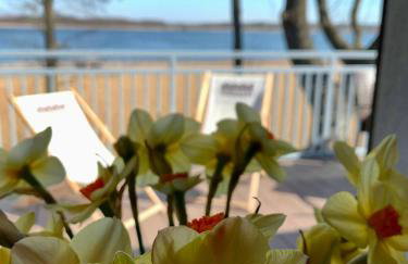 Leśna Polana 13 - do pracy i reklasku - Foto 34