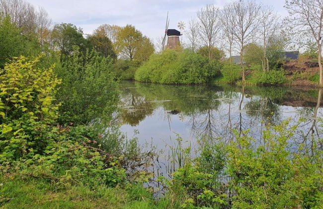 Coastal View of East Frisia - Foto 27