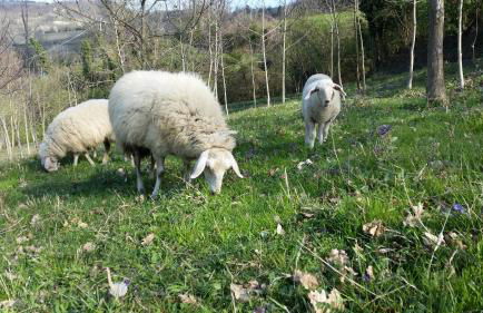 La Luna Buona - Foto 69