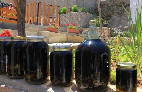 Apartments by the sea Valun, Cres - 8081 - Foto 11