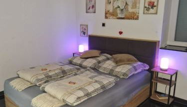 Zentrales City-Apartment mit Garage und Arbeitsplatz geeignet für Business und Familie - Foto 2