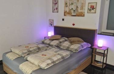 Zentrales City-Apartment mit Garage und Arbeitsplatz geeignet für Business und Familie - Foto 2