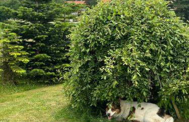 Krecia Dolina - Kaszubskie Wzgórza - Foto 27