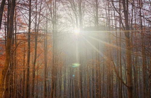 All’ombra del Miletto - Foto 9