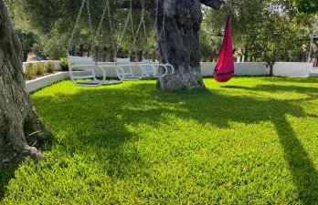 Garlis Apartments - Photo 25