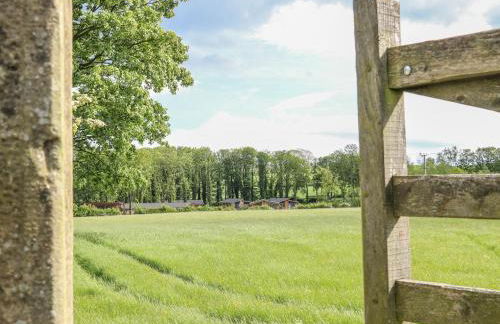 Woodpecker Lodge - Foto 25