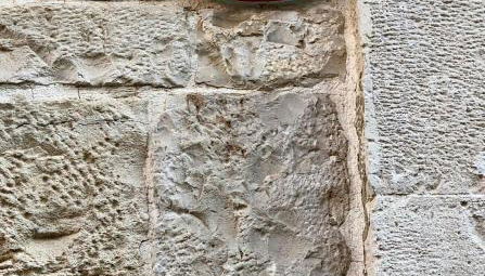 L'Orecchietta - Foto 4