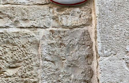 L'Orecchietta - Foto 4