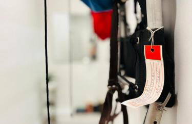 Drifterland Artistic Retreat in Lawrenceville - Foto 39