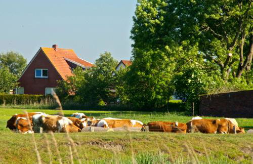 Haus Horizont - Foto 43