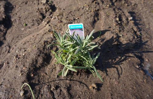 Haus am Fluss - Foto 56