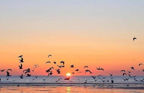 Beautiful House in Village, Newburgh, Ellon - Foto 34