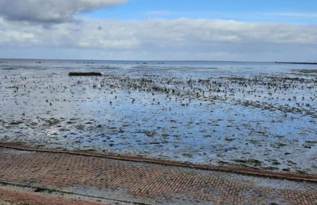 Guesthouse Friesland Ternaard Near Heritage - Photo 35