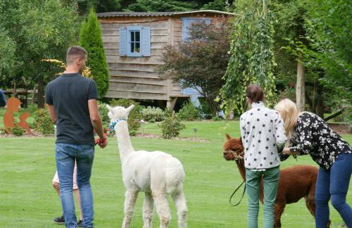 Ferienhof Werner - Foto 28