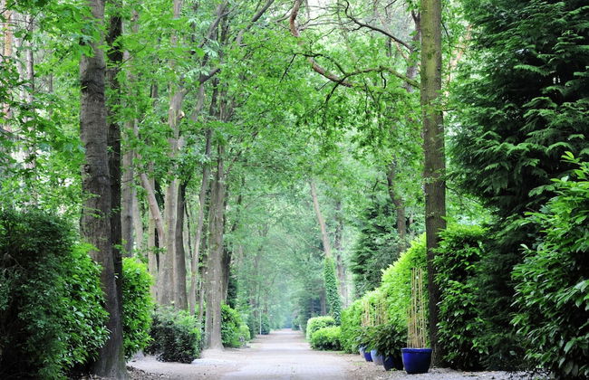 Chalet in Parc de Kievit With Large Garden - Foto 16