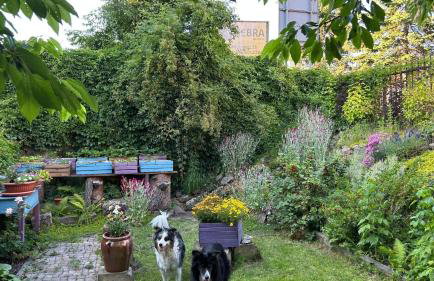 Apartament Nad Potokiem - Foto 25