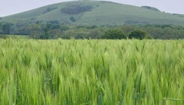 Country Apartment - Foto 5