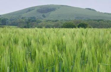 Country Apartment - Foto 5