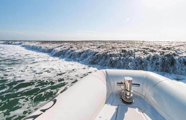 Cygnet Bay Pearls - Foto 25