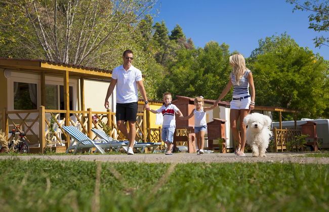 Mobile homes - Photo 28