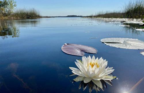 Perfect Pointe Lakehouse - Foto 39