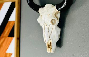 1 Bed1 Bath Condo wKitchenLR-Sleeps up to 4PP - Foto 14