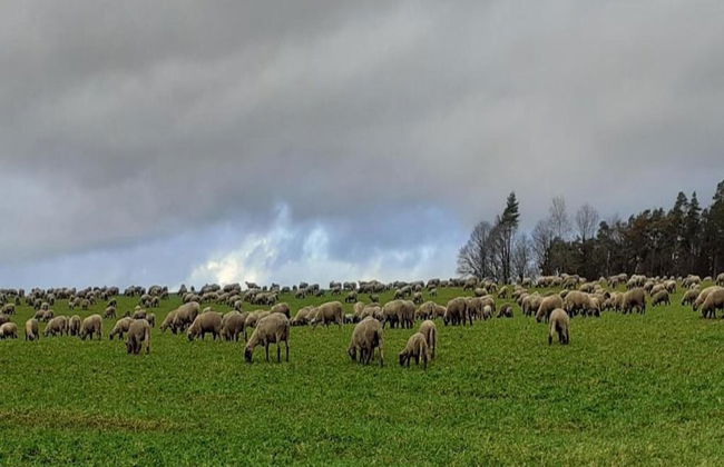 Regal Apartment in Pracht With Garden and Grill - Foto 31