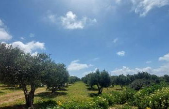 View West Elafonisi house - Foto 4