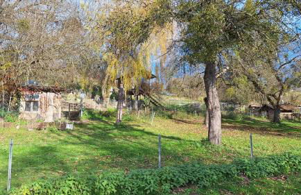 Ferienwohnung Hobbyhof Deggenhausertal - Photo 21