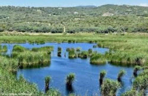 CASA DI PETRU ANTÒ - Foto 11