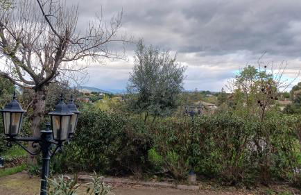 La cabaña de Uceda - Foto 24