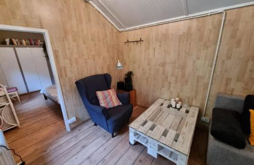 Dom Pod Brzozami Lipinki Bory Tucholskie basen - psy, koty mile widziane! - Photo 25