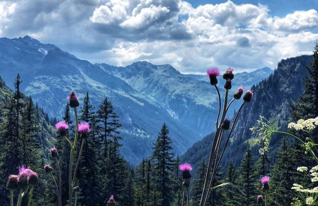 Apartment in Gaschurn Near Ski Lift - Foto 37