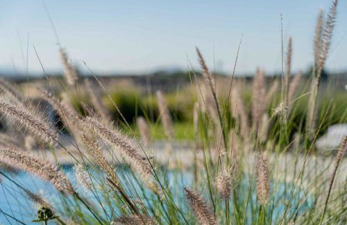 Villa Puntaldia - Photo 17