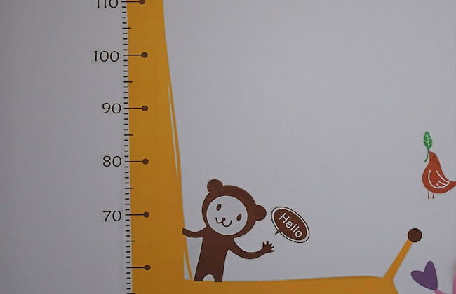 Crows Nest Family Apartment - Photo 8