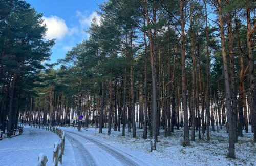 Domki nad morzem " Przy Lesie" - Foto 33
