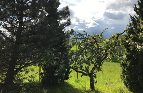 Siedlisko na Górce - Foto 6