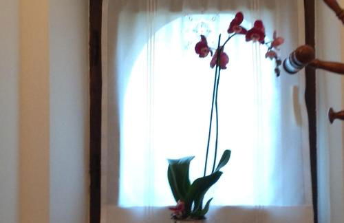 Agriturismo La Morosina - Photo 82