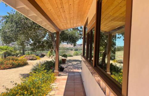 Hilltop Vineyard and Agave Field with View - Photo 4