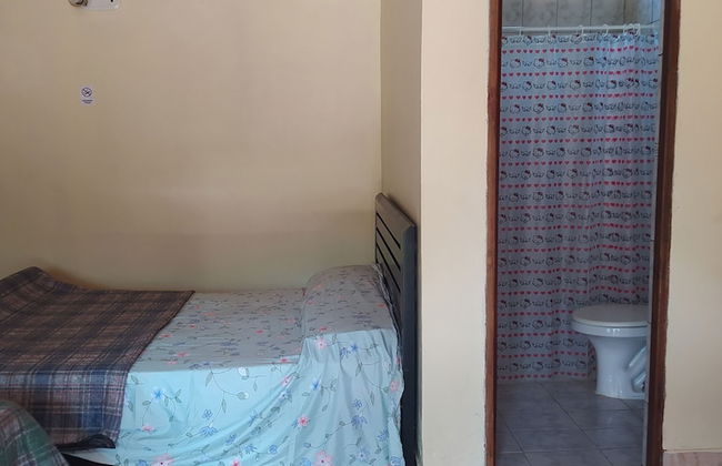 Peixes Apart - Photo 2