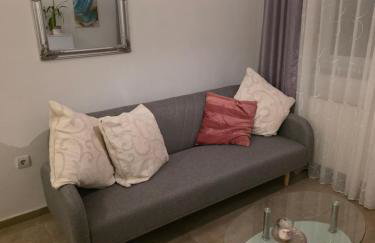 Apartment Vesna Toplice Sveti Martin - Foto 13