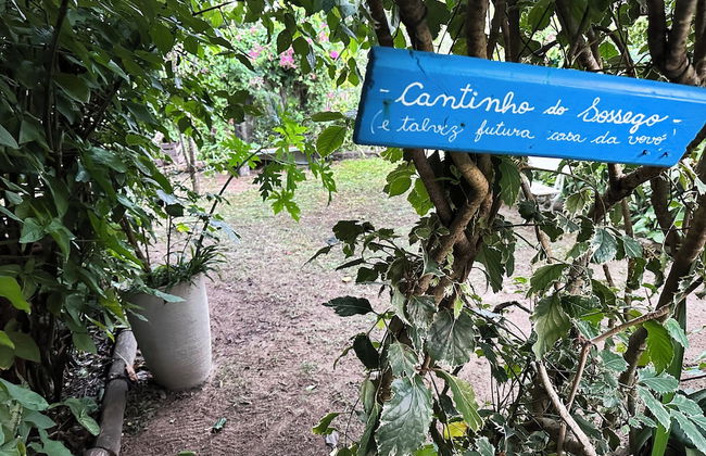 Quintal do Contêiner - Photo 16