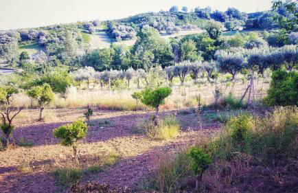 Il Borgo sul Lago - Foto 80