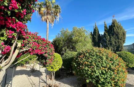 Nicola by Check-in Portugal - Foto 30