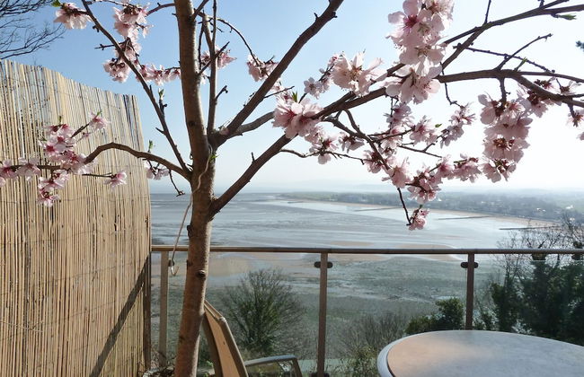 Porthole Cottage - Foto 19