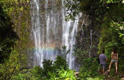 Whaler 712 - Photo 49