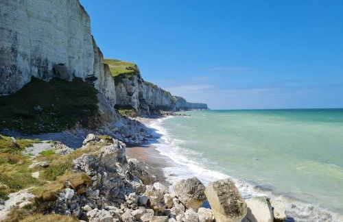 Le Chant des Bénédictins - Foto 58