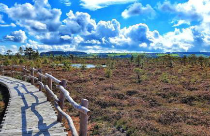 Habelberg Apartments - Foto 22