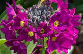 Luxury Shepherds Hut on Powis House Estate - Foto 22