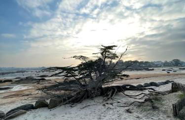 Vacances plages, mer, balades ou GR34 ! - Foto 50